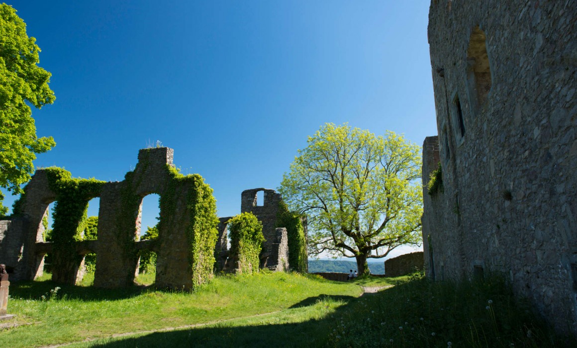 Führungen auf dem Hohentwiel