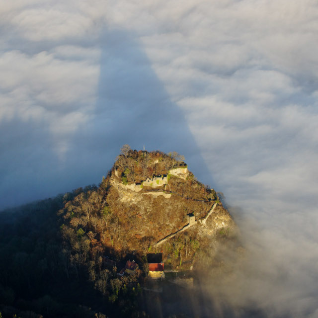 Informations&shy;broschüre